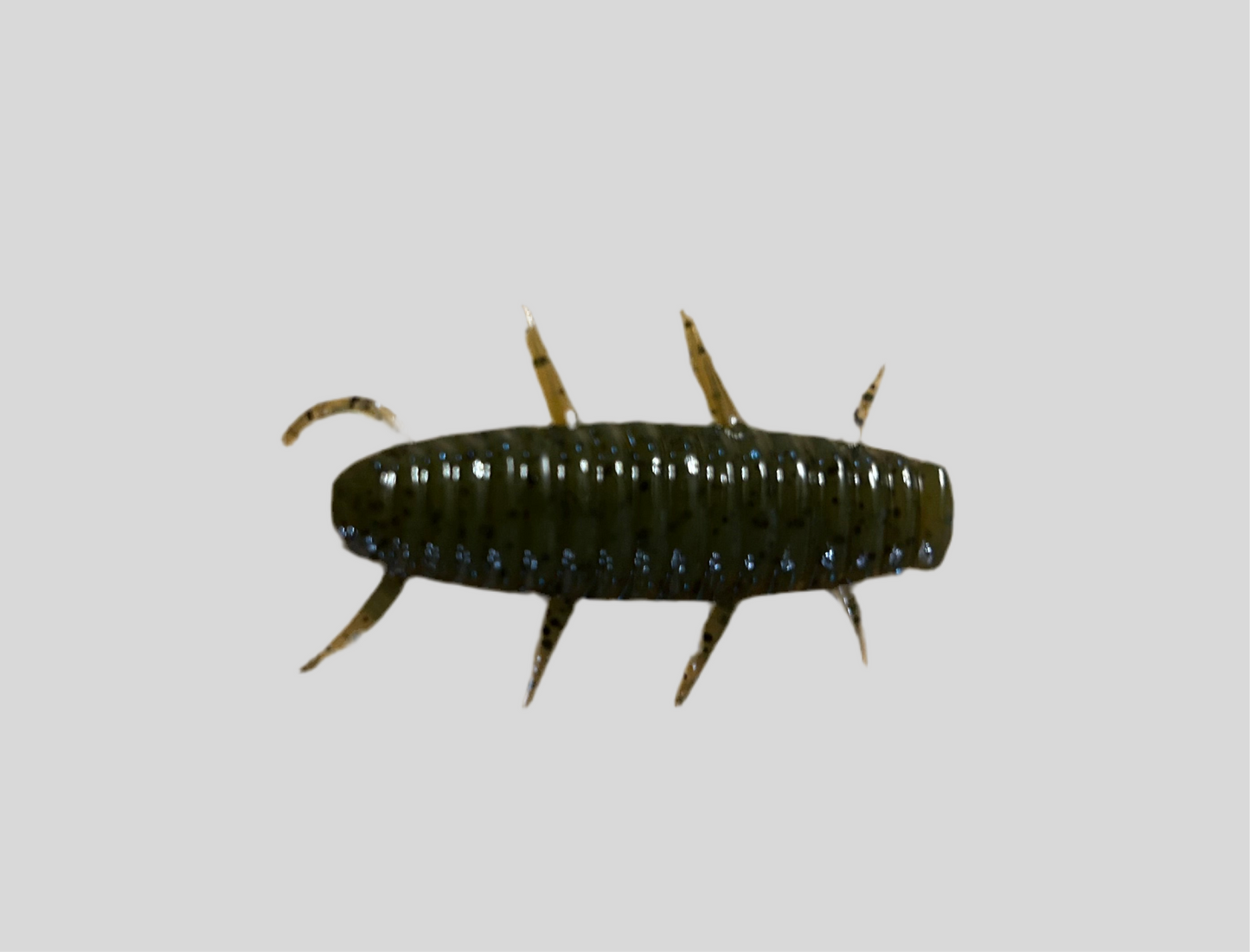 Bluegrass Bug Lure
